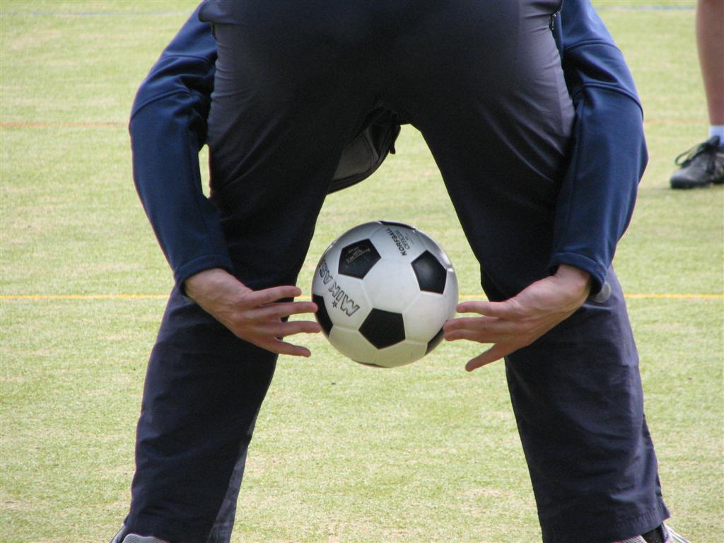 IMG_5549 (Large).jpg